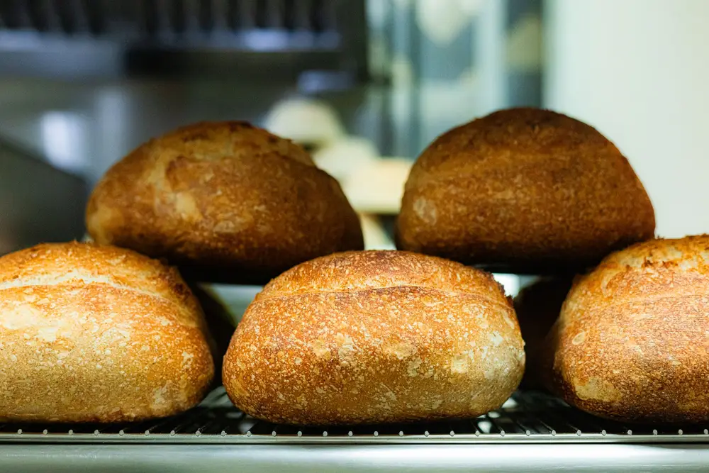 Round sourdough loaves with a golden crust